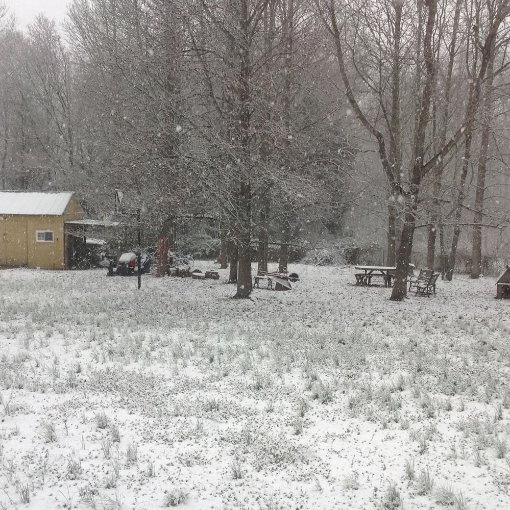 Meet your Posher, Kathleen